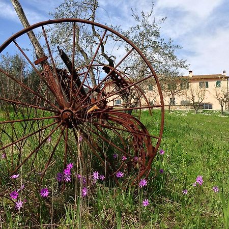 Agriturismo La Torricella بستويا المظهر الخارجي الصورة