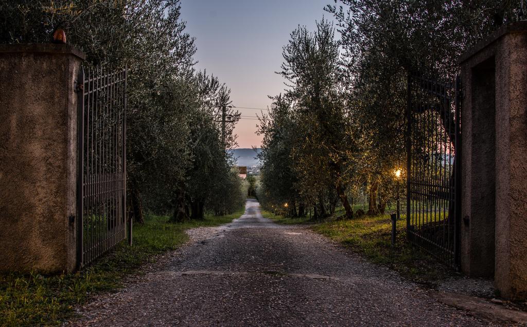 Agriturismo La Torricella بستويا المظهر الخارجي الصورة