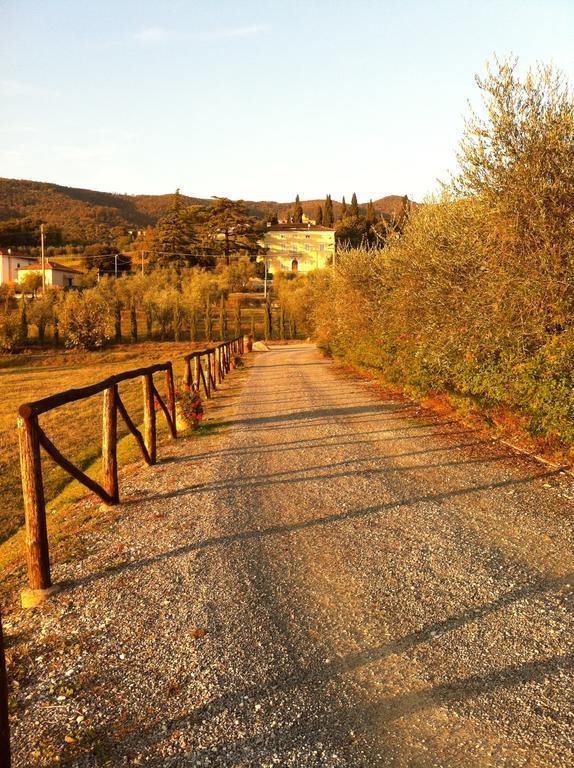 Agriturismo La Torricella بستويا المظهر الخارجي الصورة