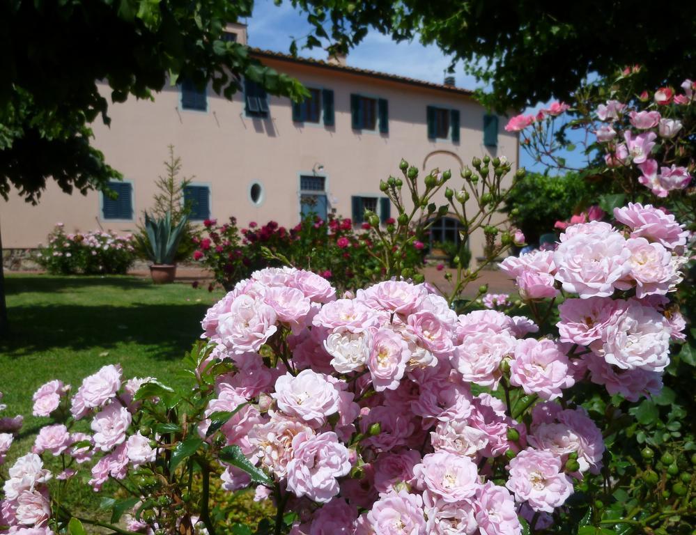Agriturismo La Torricella بستويا المظهر الخارجي الصورة